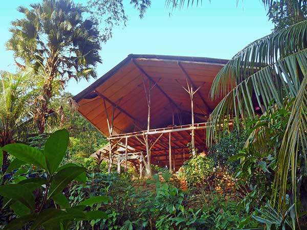 The rustic wooden main house at Cascada Verde, family hostel by the waterfall in Uvita, Costa Rica