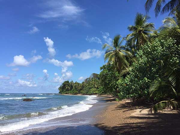 Beautiful beach in Corcovado National Park in Costa Rica