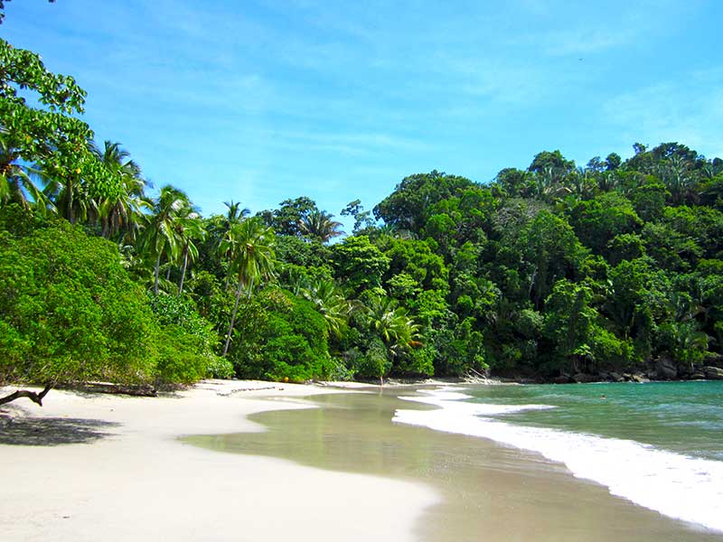 Manuel Antonio National Park - pristine beaches and lots of wildlife! Costa Rica