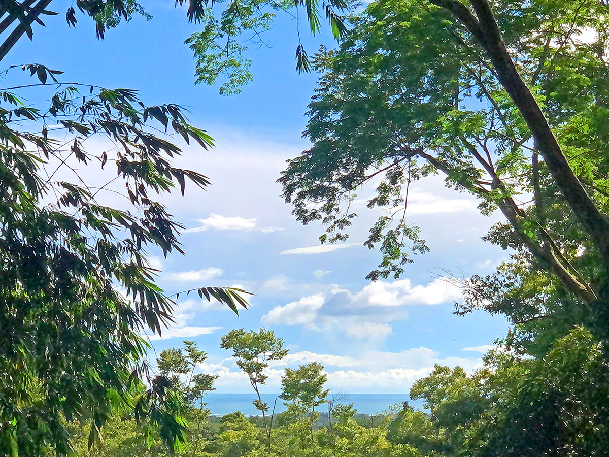 Oceanview from our terrace at Cascada Verde, family hostel by the waterfall in Uvita, Costa Rica. hero