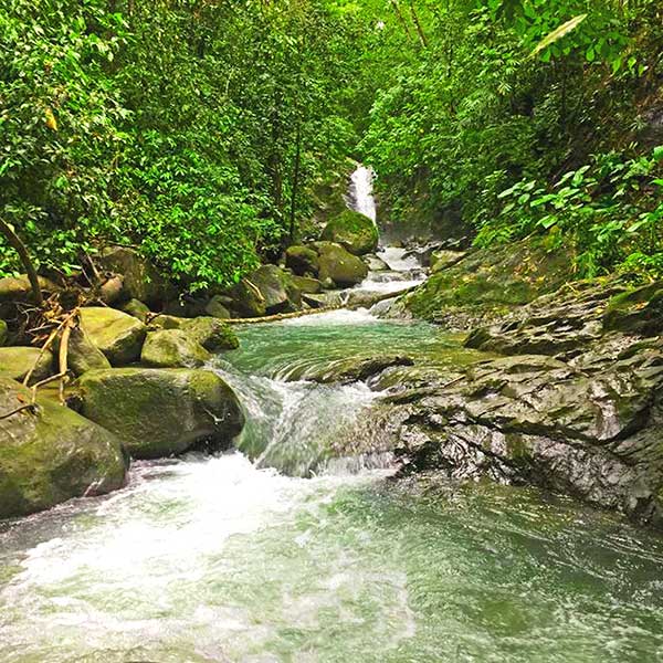 Uvita waterfall in Uvita, Costa Rica near Cascada Verde hostel
